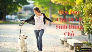 mẹo cho chó đi vệ sinh đúng chỗ